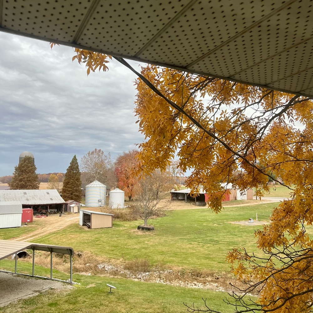 Meet your Posher, Tricia